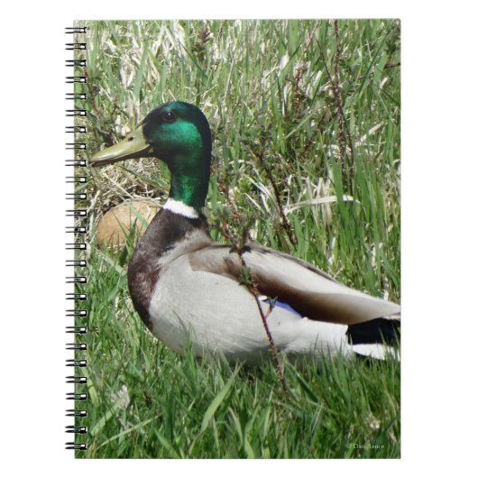 B55 Wilde Eend Woerd in het Gras Notitieboek (Voorkant)