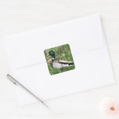 B55 Wilde Eend Woerdelaar Groenling in het Gras Vierkante Sticker (Envelop)