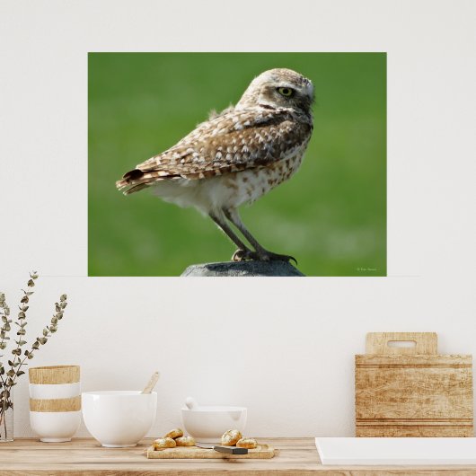 B56 Boorstruik Poster (Keuken)