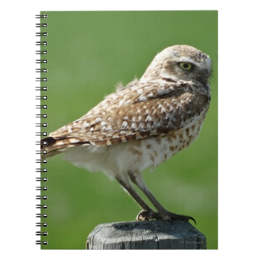 B56 Holenuil Notitieboek (Voorkant)