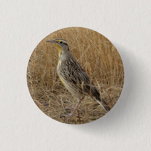 B57 Westelijke Weideleeuwerik Ronde Button 3,2 Cm (Voorkant)