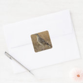 B57 Westelijke Weideleeuwerik Vierkante Sticker (Envelop)