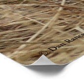 B57 Western Meadowlark Poster (Hoek)