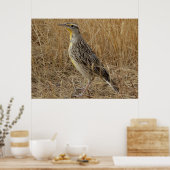 B57 Western Meadowlark Poster (Keuken)