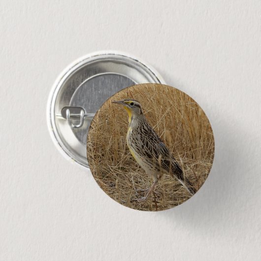 B57 Western Meadowlark Ronde Button 3,2 Cm (Voorkant /achterkant)