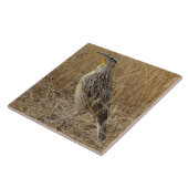 B57 Western Meadowlark Tegeltje (Zijkant)