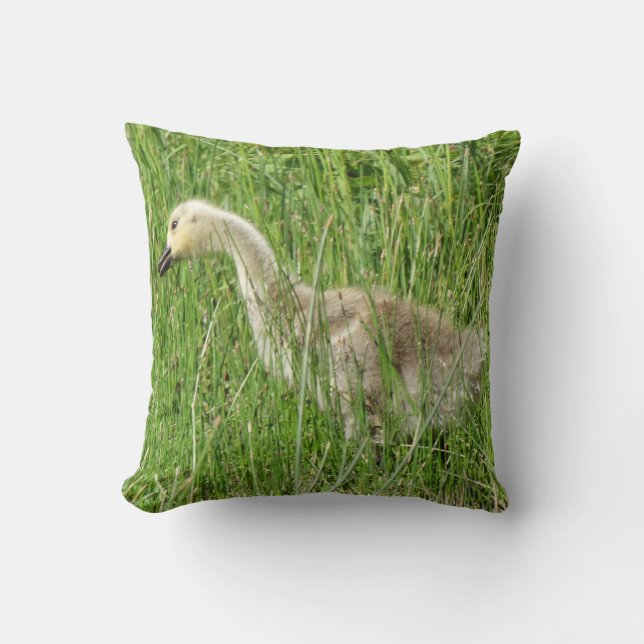 B58 Canadese gans Kuiken in het Gras Kussen (Voorkant)