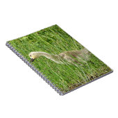 B58 Canadese gans Kuiken in het Gras Notitieboek (Rechterzijde)