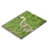 B58 Canadese gans Kuiken in het Gras Notitieboek (Linkerzijde)