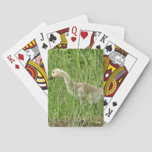 B58 Canadese gans Kuiken in het Gras Pokerkaarten