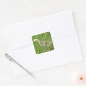 B58 Canadese gans Kuiken in het Gras Vierkante Sticker (Envelop)