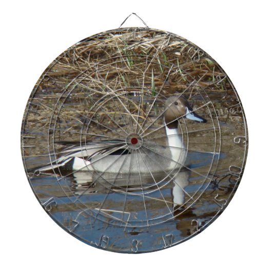 B5 Pijlstaartwoerd Dartbord (Voorkant)