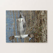 B5 Pijlstaartwoerd Legpuzzel (Horizontaal)