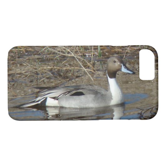 B5 Pintail Duck Drake Case-Mate iPhone Case (Achterkant (Horizontaal))
