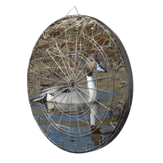 B5 Pintail Duck Drake Dartbord (Voorkant Rechts)