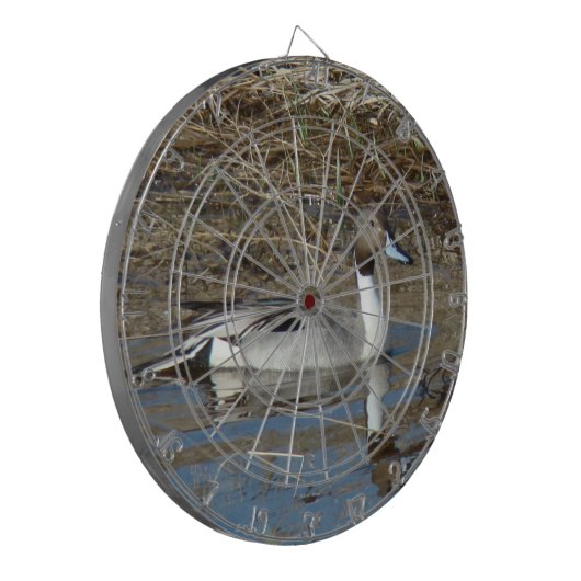 B5 Pintail Duck Drake Dartbord (Voorkant Links)