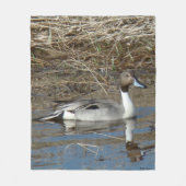 B5 Pintail Duck Drake Fleece Deken (Voorkant)