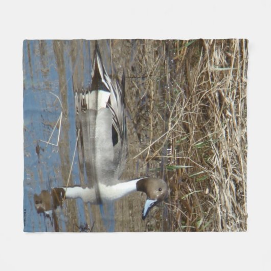 B5 Pintail Duck Drake Fleece Deken (Voorkant (Horizontaal))
