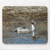 B5 Pintail Duck Drake Muismat (Voorkant)