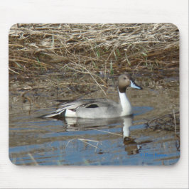 B5 Pintail Duck Drake Muismat