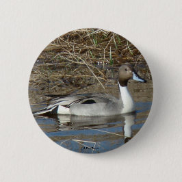 B5 Pintail Duck Drake Ronde Button 5,7 Cm