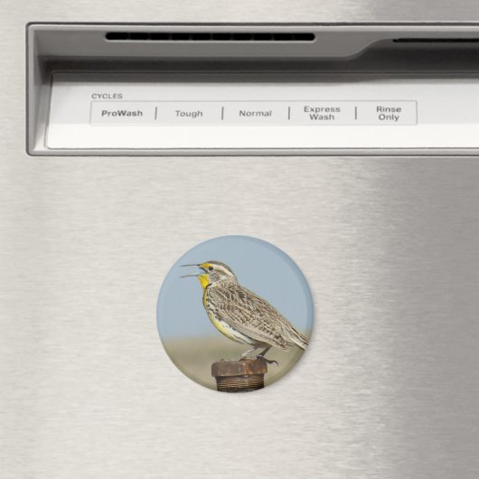 B6 weide leeuwerik magneet (Insitu (Vaatwasser))