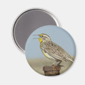 B6 Weideleeuwerik Magneet (Voorkant / Achterkant)