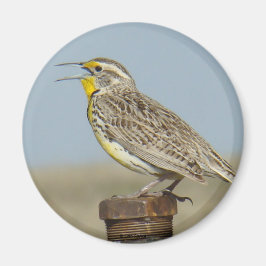 B6 Weideleeuwerik Magneet
