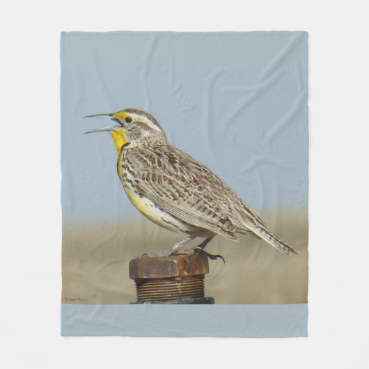 B6 Westelijke weideleeuwerik Fleece Deken (Voorkant)