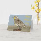 B6 Westelijke weideleeuwerik Kaart (Gele Bloem)