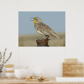 B6 Westelijke weideleeuwerik Poster (Keuken)