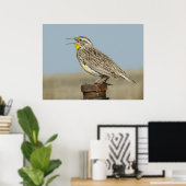 B6 Westelijke weideleeuwerik Poster (Thuiskantoor)
