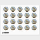 B6 Westelijke Weideleeuwerik Ronde Sticker (Vel)
