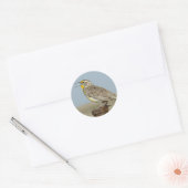 B6 Westelijke Weideleeuwerik Ronde Sticker (Envelop)