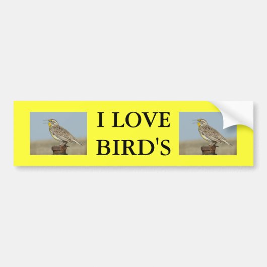 B6 Westelijke Weidespreeuw Bumpersticker (Voorkant)