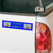 B6 Westelijke Weidespreeuw Bumpersticker (Op Truck)