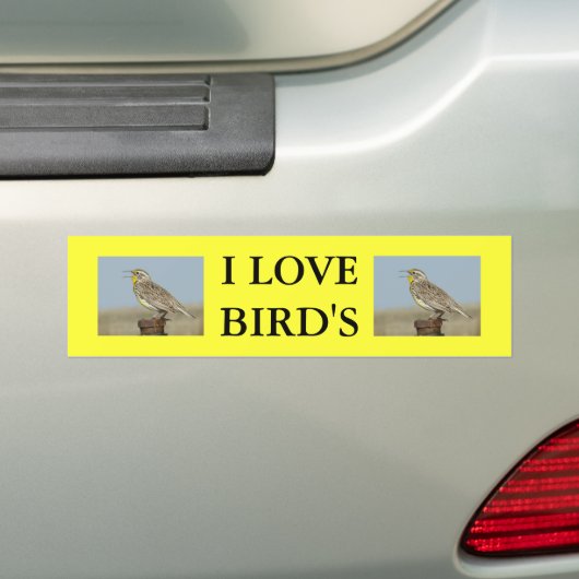 B6 Westerne meadowlark Bumpersticker (Op auto)