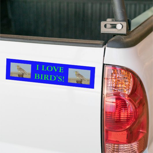 B6 Westerne meadowlark Bumpersticker (Op Truck)
