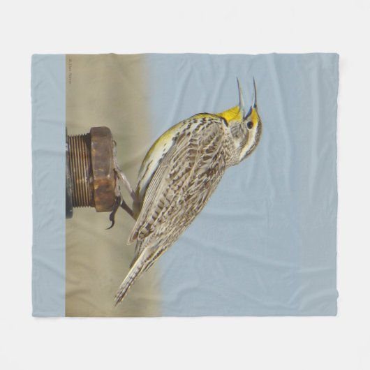 B6 Westerne meadowlark Fleece Deken (Voorkant (Horizontaal))