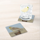 B6 Westerne meadowlark Kartonnen Onderzetters (Insitu)