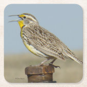 B6 Westerne meadowlark Kartonnen Onderzetters (Voorkant)
