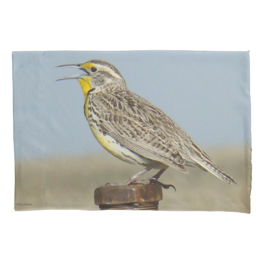 B6 Westerne meadowlark Kussensloop (Voorkant)