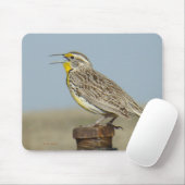 B6 Westerne meadowlark Muismat (Met muis)