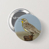 B6 Westerne meadowlark Ronde Button 5,7 Cm (Voorkant /achterkant)
