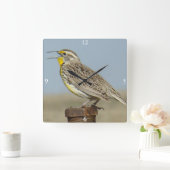 B6 Westerne meadowlark Vierkante Klok (Huis)