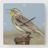 B6 Westerne meadowlark Vierkante Klok (Voorkant)
