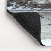 B7 Canadese ganzen in vlucht Muismat (Hoek)