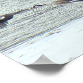 B7 Canadese ganzen in vlucht Poster (Hoek)