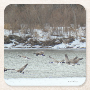 B7 Canadese Ganzen Over Winter Rivier Kartonnen Onderzetters