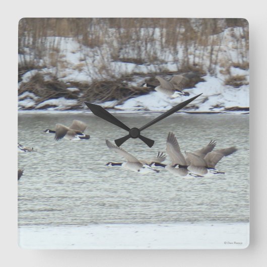 B7 Canadese ganzen Vierkante Klok (Voorkant)